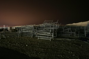 Photographs taken in the middle of the night, at the Bahrain International Circuit.